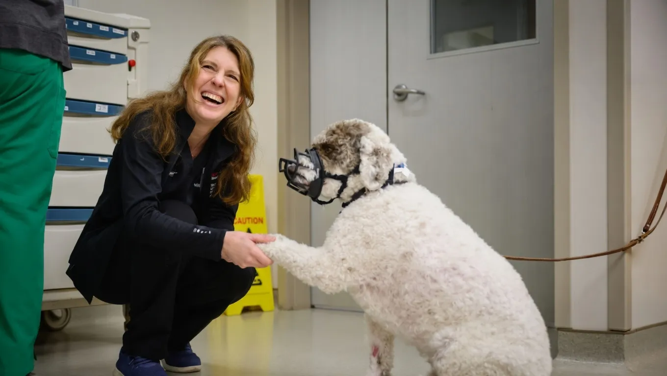 Dog-Loving Couple Hails Dermatologist as ‘the Epitome of NC State’